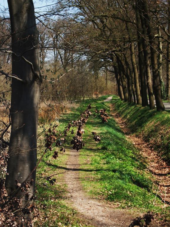 Bed and Breakfast Landgoed De Lavei Weleveld Exterior foto