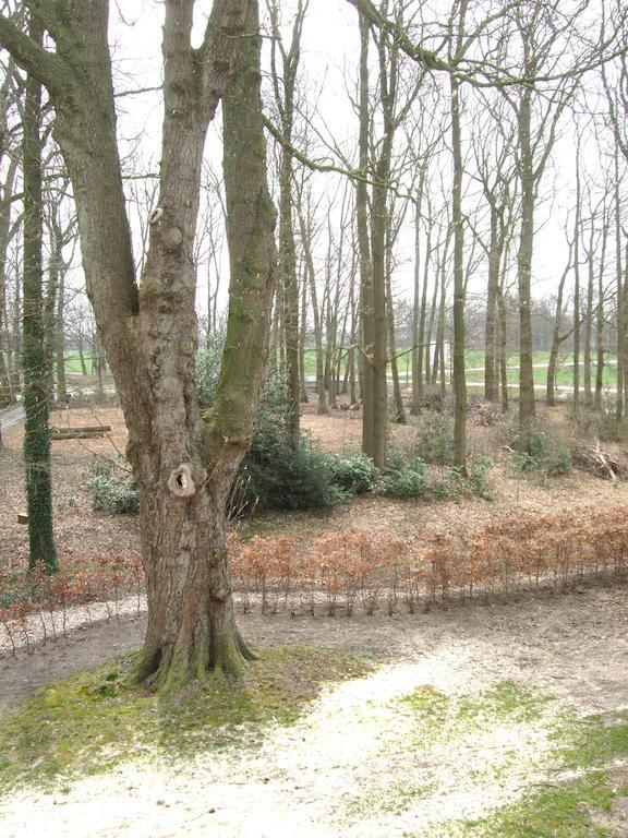 Bed and Breakfast Landgoed De Lavei Weleveld Exterior foto